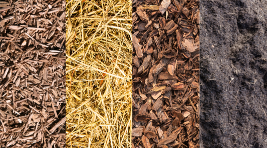 Different Types of Mulch: The Ultimate Guide