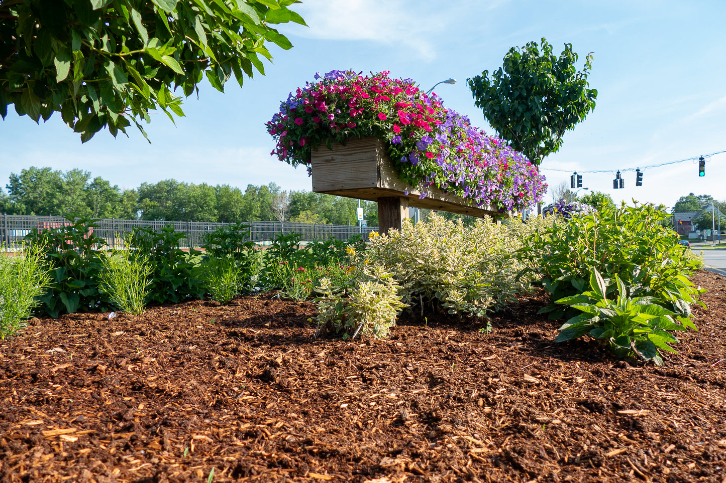 Rebark - Cedar Liquid Mulch Dye*