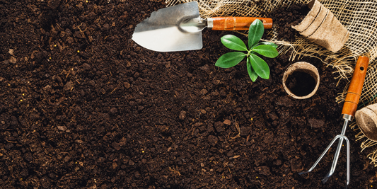 The Environmental Benefits of Mulch